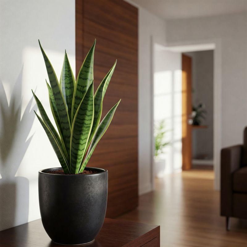 5-helposti-hoidettavaa-istutusastiaa