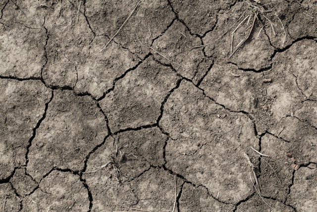 5-onnekasta-piv-horoskooppimerkille